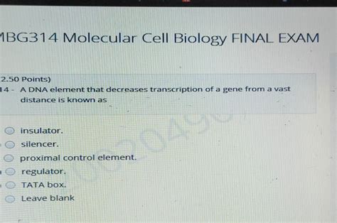 Solved 1BG314 Molecular Cell Biology FINAL EXAM 2 50 Points Chegg