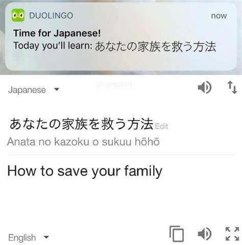 25 Funny Duolingo Memes That Are Slightly Threatening Inspirationfeed