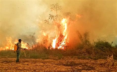 Arce Instruye Contratar Aviones Cisternas Para Combatir El Fuego