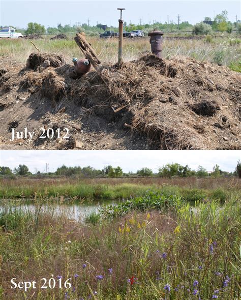 Twi Ecologist Makes Waves At Wetlands Conference — The Wetlands Initiative