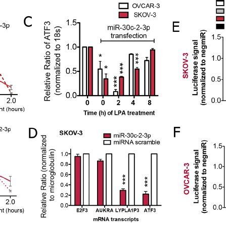 Lysophosphatidic Acid Induces The Expression Of Atf A Skov Cells