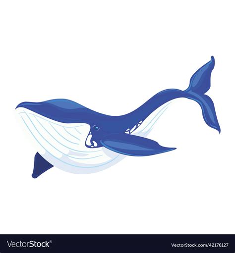 Blue whale design Royalty Free Vector Image - VectorStock