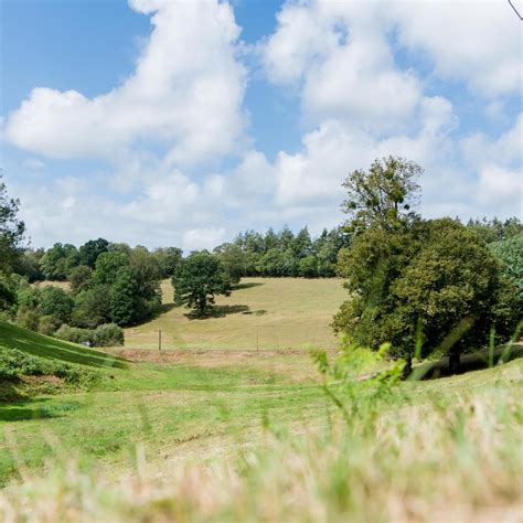 Nos Webcams Coutances Tourisme Organisez Vos Vacances Dans La Manche