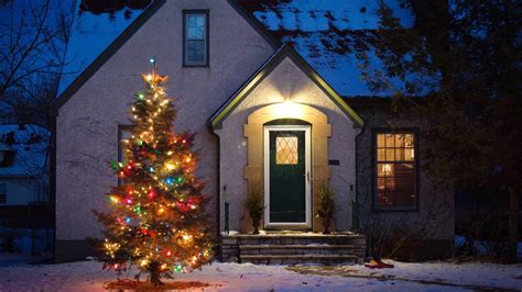 How To Decorate Your Trees Outside For Christmas | Shelly Lighting