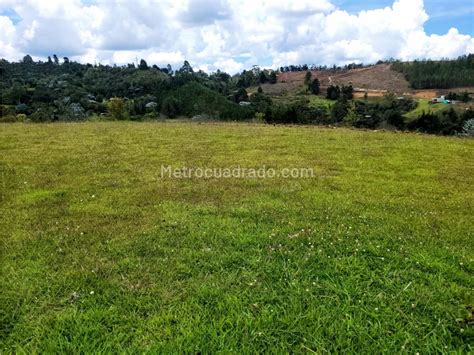 Venta De Lote O Casalote En Sector Aeropuerto Rionegro M