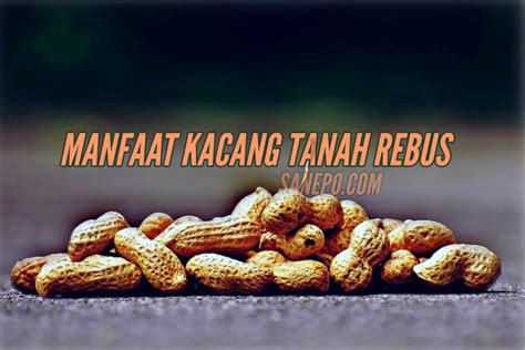 12 Manfaat Kacang Tanah Rebus Bagi Kesehatan