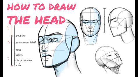 👱 Learn To Draw The Head In Any Angle Tutorial For Beginners Youtube
