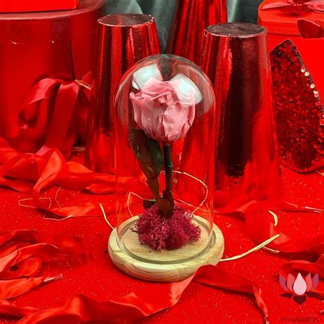 Fleur Eternelle Nude Cherry Fleuriste Casablanca Acheter Et Livr E Des Fleurs Fleuriste Maroc