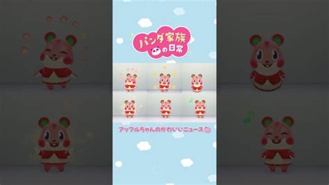 【あつ森アニメ】アップルちゃんのかわいいニュース🍎 Shorts あつ森 あつ森 動画まとめ