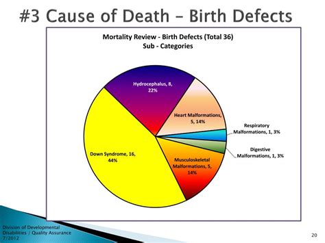 Ppt Division Of Developmental Disabilities Mortality Report 2010 And