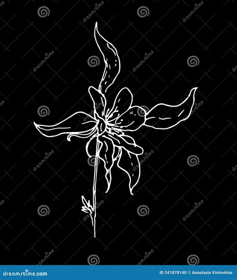Vintage Columbine: Romanticized Depictions Of Historical White Flowers