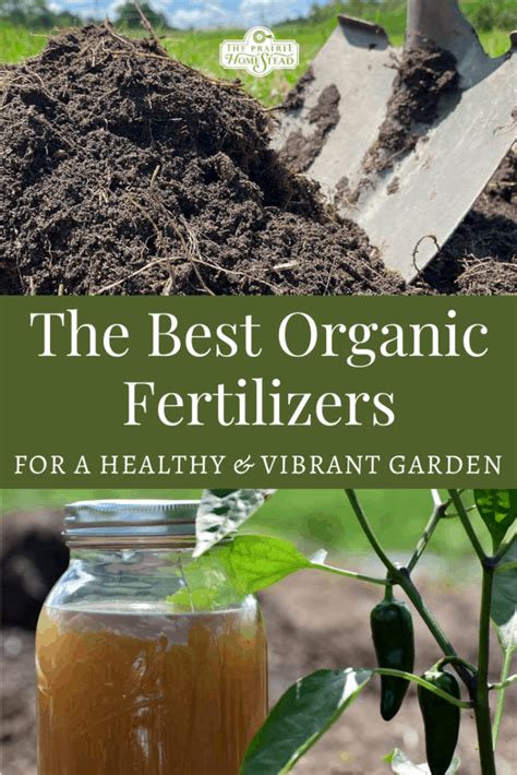 The Best Organic Fertilizers For Your Vegetable Garden The Prairie