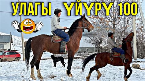 БЕШ КАШКА КЕЛИШКЕН АТ ЭКЕН 🤯 #байтв - YouTube