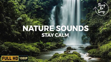 Relaxing Music With Nature Sounds Waterfall Deep Sleep With Amazing