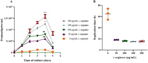 Effect Of Different Extracellular L Arginine Concentrations On The L