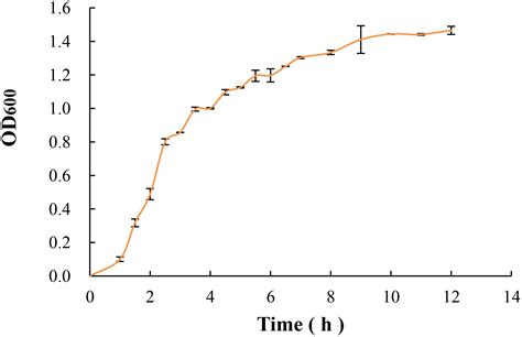 Frontiers Induction Of Viable But Nonculturable Escherichia Coli O