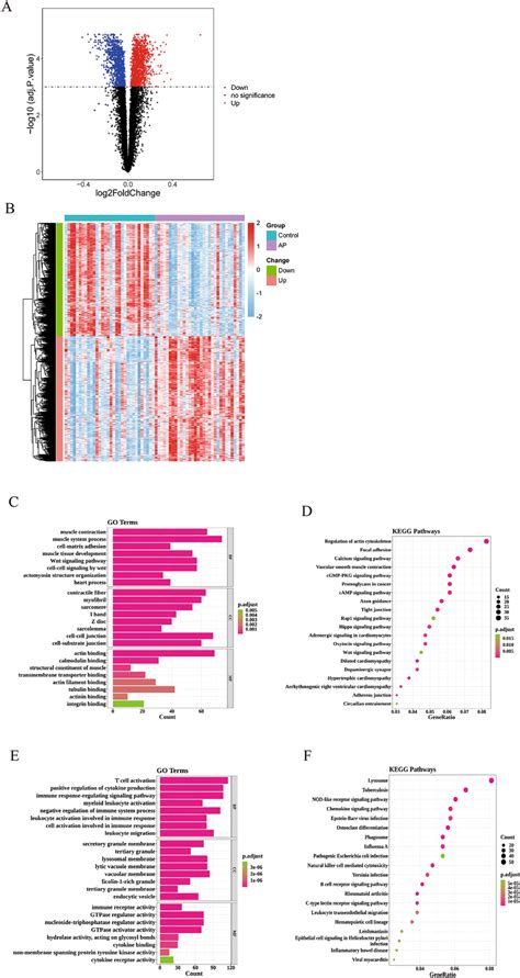 Identification And Enrichment Analysis Of DEGs A Volcano Map Of