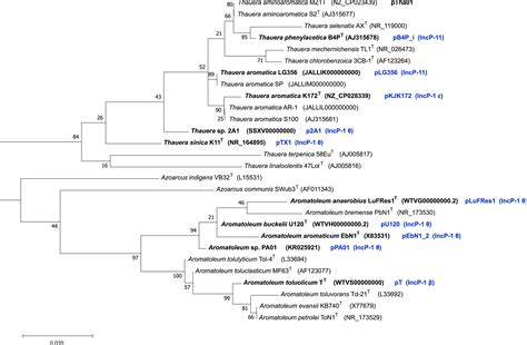 Incptype Plasmids Carrying Genes For Antibiotic Resistance Or For