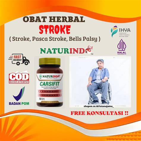 Jual Obat Herbal Stroke Ringan Pasca Struk Berat Bells Palsy