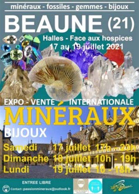 Salon Des Min Raux Fossiles Gemmes Et Bijoux Beaune Echosciences