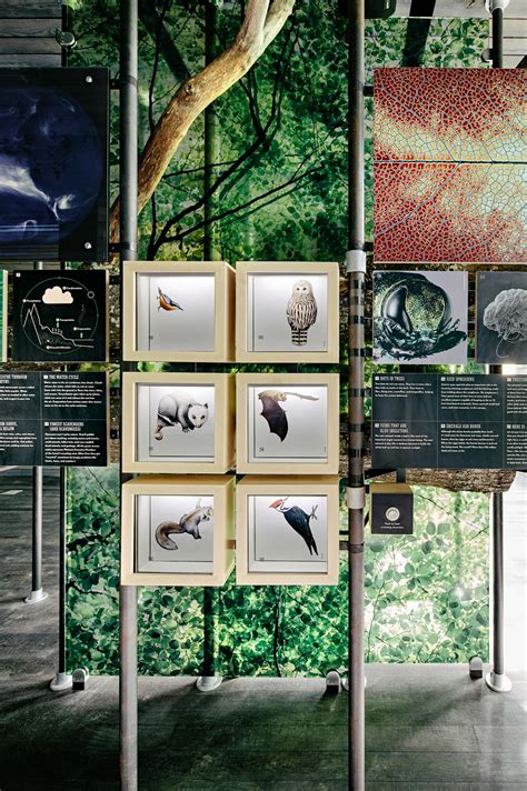 Sustainability Treehouse (10 Photos) - Dwell