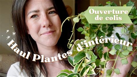 Haul Plantes Int Rieur Hoyas Pothos Caladiums Unboxing Youtube