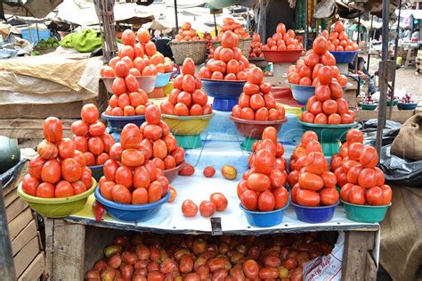 How To Grow And Have A Tomato Market New Vision Official