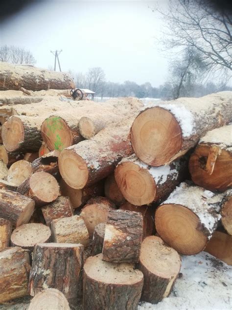 Opał Drzewo kominkowe drewno opałowe sosna olcha dąb akacja brzoza