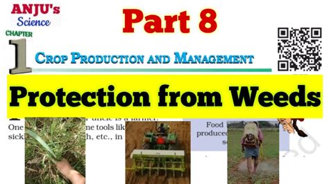 Part Protection From Weeds Class Chapter Science Crop