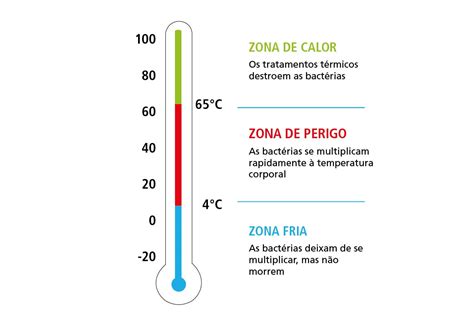 Saiba Como Descongelar Alimentos De Forma Segura Tailler