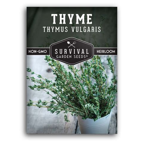 Seed Collection - Thyme Seeds - SurvivalGardenSeeds