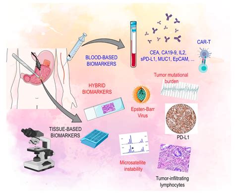 Biomarkers of response to immunotherapy: soluble, tissue based and... | Download Scientific Diagram