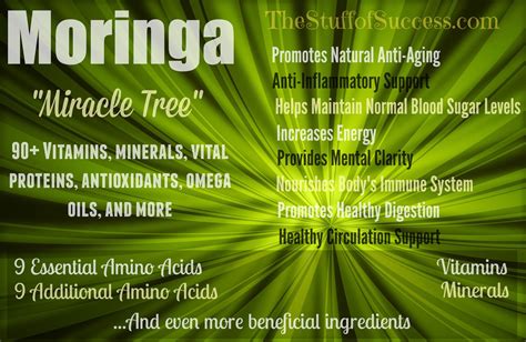 Ankh Rah S Healthy Living Guide The Shocking Truth About Moringa