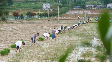 “村超”、“村ba”何以火爆出圈 新华网