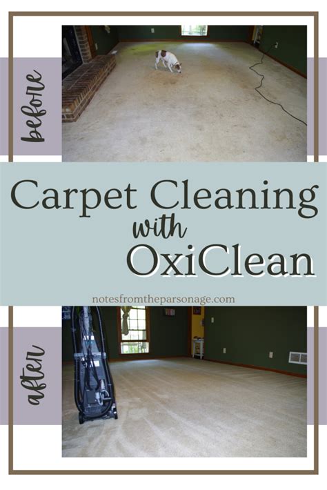 Cleaning Carpet Stains Artofit