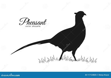 Pheasant Silhouette Vector