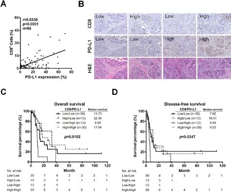 Figure 3 From Low Cd8 T Cell Infiltration And High Pd L1 Expression