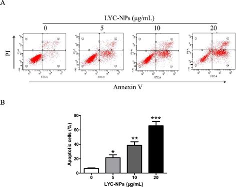 Figure From Lycorine Nanoparticles Induce Apoptosis Through