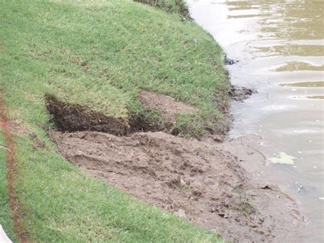 The 4 Main Causes Of Erosion In Lake Soil