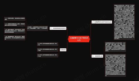 交通肇事车主拒不赔偿怎么办思维导图编号p6337529 Treemind树图