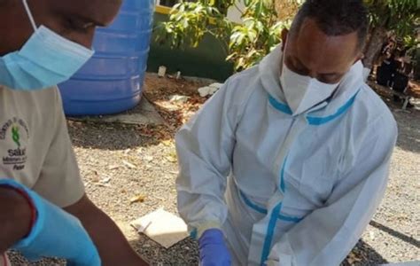 Los Santos confirma primer caso de hantavirus de este año Panamá América