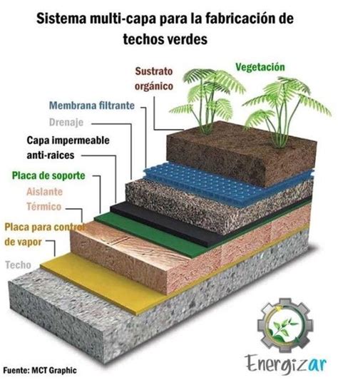 Composición de una cubierta verde Arquitectura Sustentable