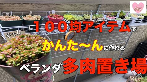 【多肉植物・ベランダ】100均アイテムでかんた〜んに作れるベランダ多肉置き場 Youtube