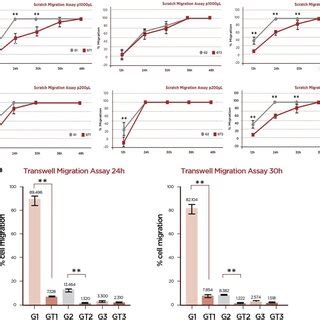 Migration assay. a Scratch migration assay: evaluation of the migration ...