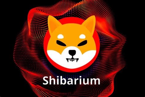 CoinStats Shiba Inus Shibarium Sees TVL Rise To Highes