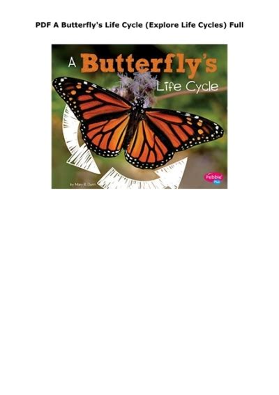 Pdf A Butterfly S Life Cycle Explore Life Cycles Full