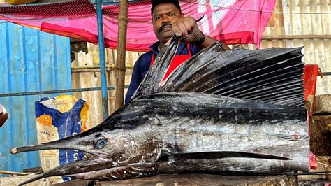 Kasimedu Speed Selvam Big Size Mayil Kola Fish Cutting K Video