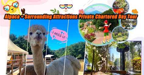 Excursión privada de un día a Alpaca World Nami Island Klook