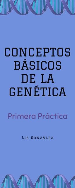 Conceptos B Sicos De La Gen Tica Liz Gonz Lez Udocz