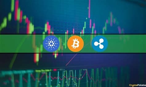 Xrp Ada Explode By Double Digits Bitcoin Stable At K Market Watch